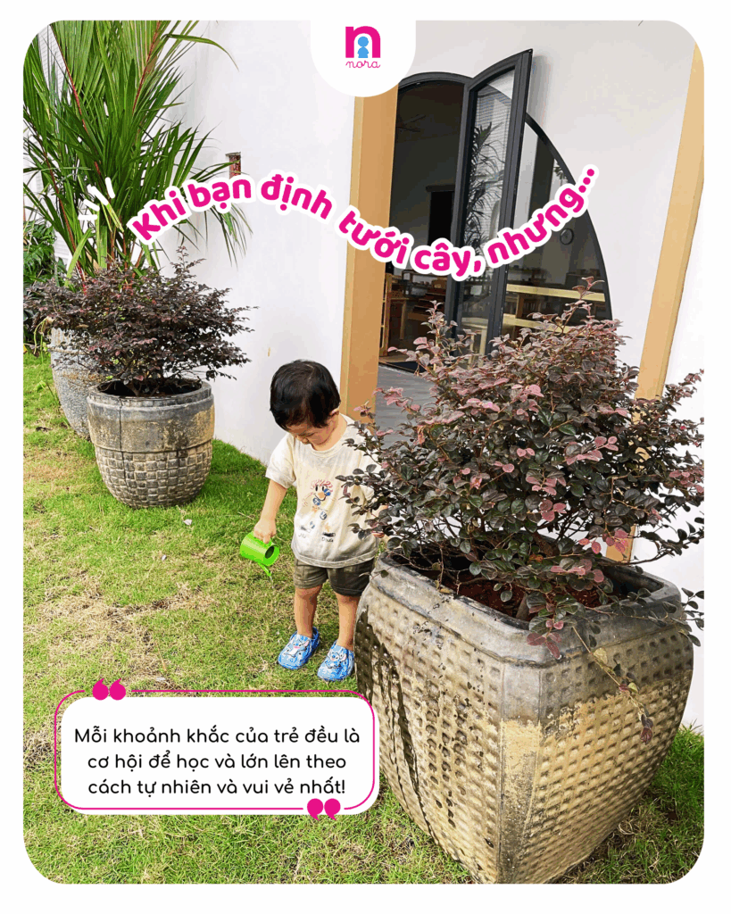 NORA Preschool